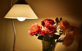 Old Town Apartments Tyn